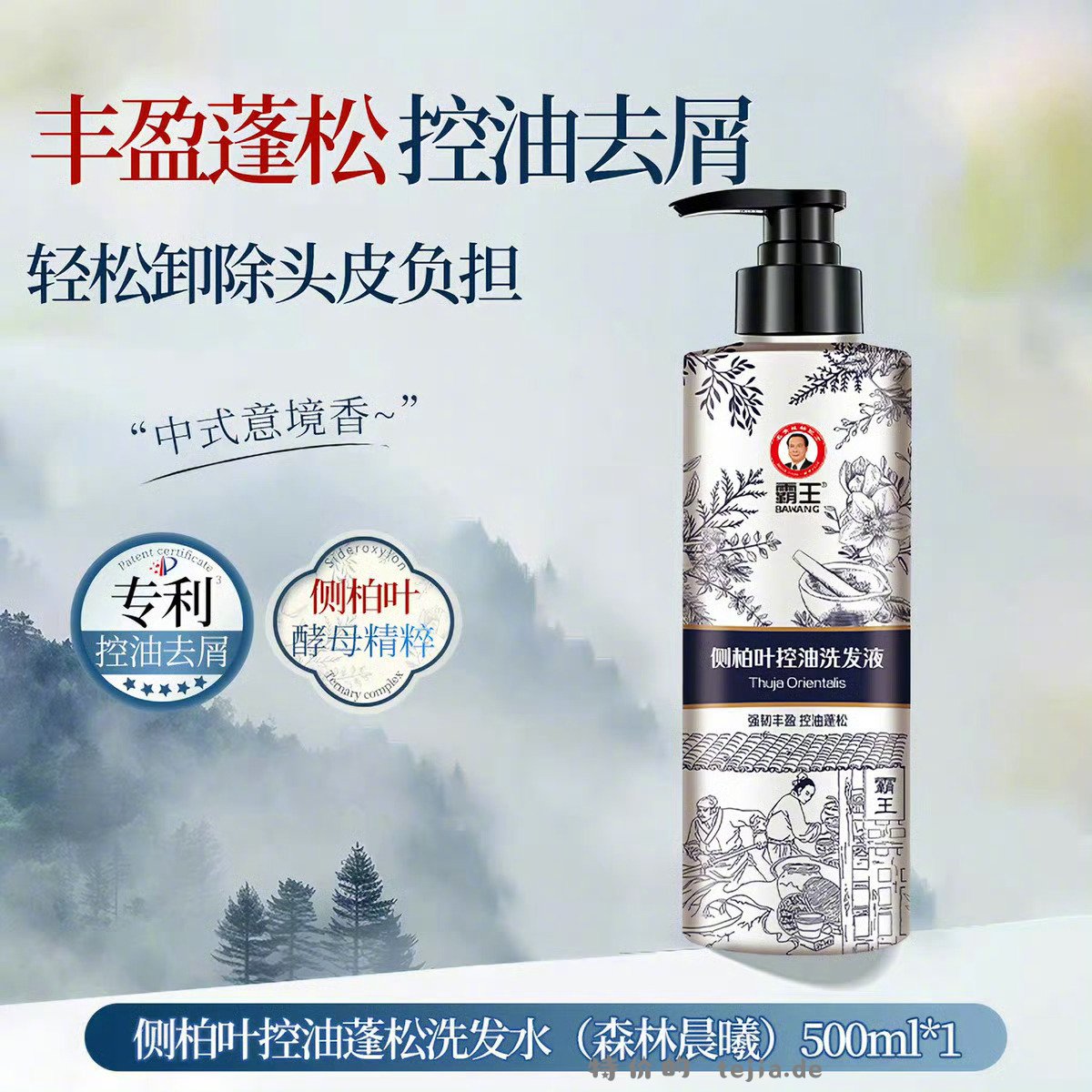 霸王侧柏叶控油洗发水500ml 27元 - 特价的