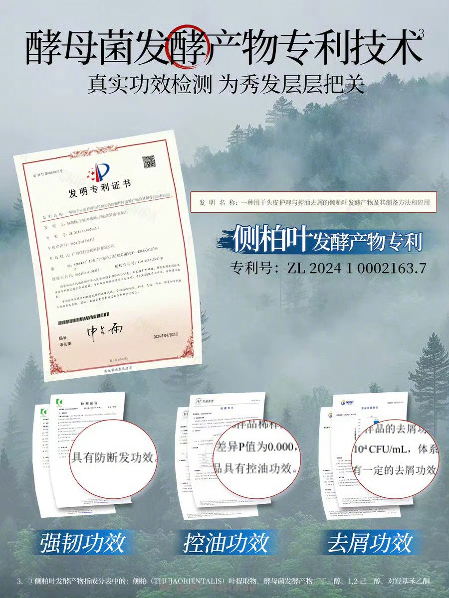 霸王侧柏叶控油洗发水500ml 27元 - 特价的