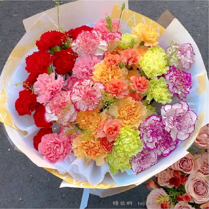 9.99 橙色水仙百合10枝 13.98 非洲小菊20枝 13.99 康乃馨 - 特价的