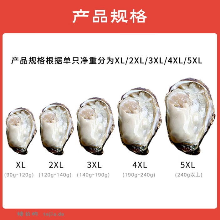 鲜京采鲜活生蚝5XL净重5斤9-12只 49.9元 - 特价的