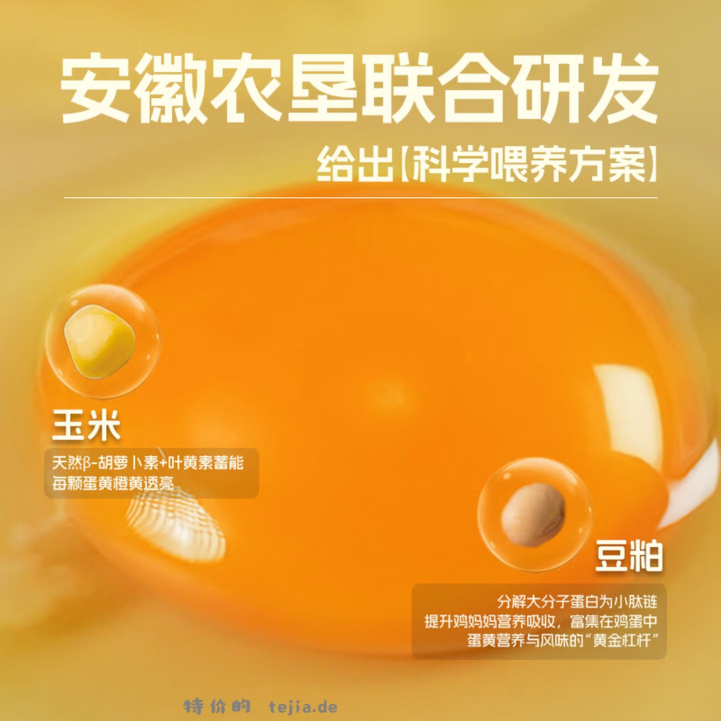 蛋鲜森鲜鸡蛋50g*30枚 29.9元 - 特价的