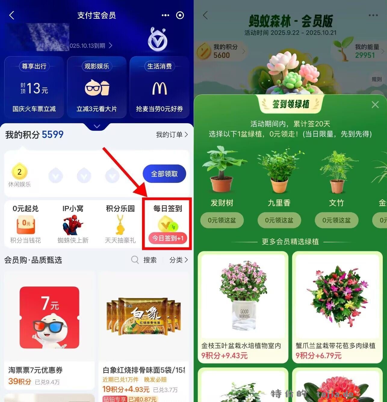 zfb蚂蚁森林签20天领绿植 zfb-我的-zfb荟员 右侧 每日签到 - 特价的