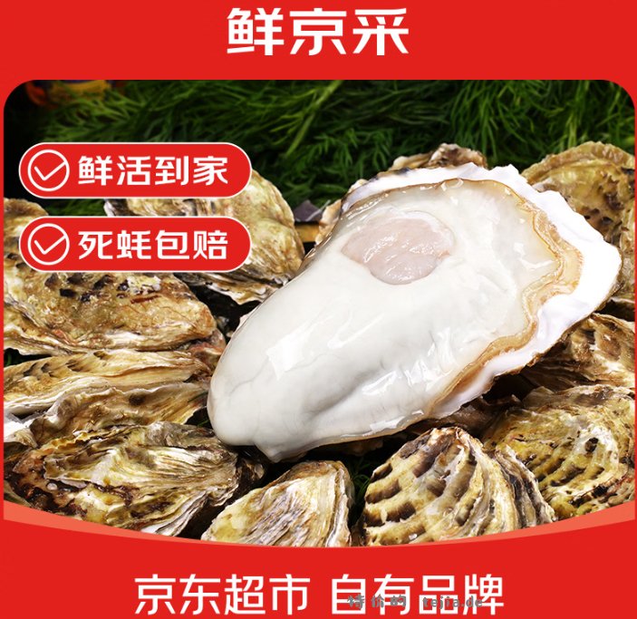 鲜京采鲜活生蚝5XL净重5斤9-12只 49.9元 - 特价的