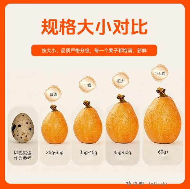 16.90 京鲜生.贵州枇杷30粒 单果25g+ 折0.56元/粒 - 特价的