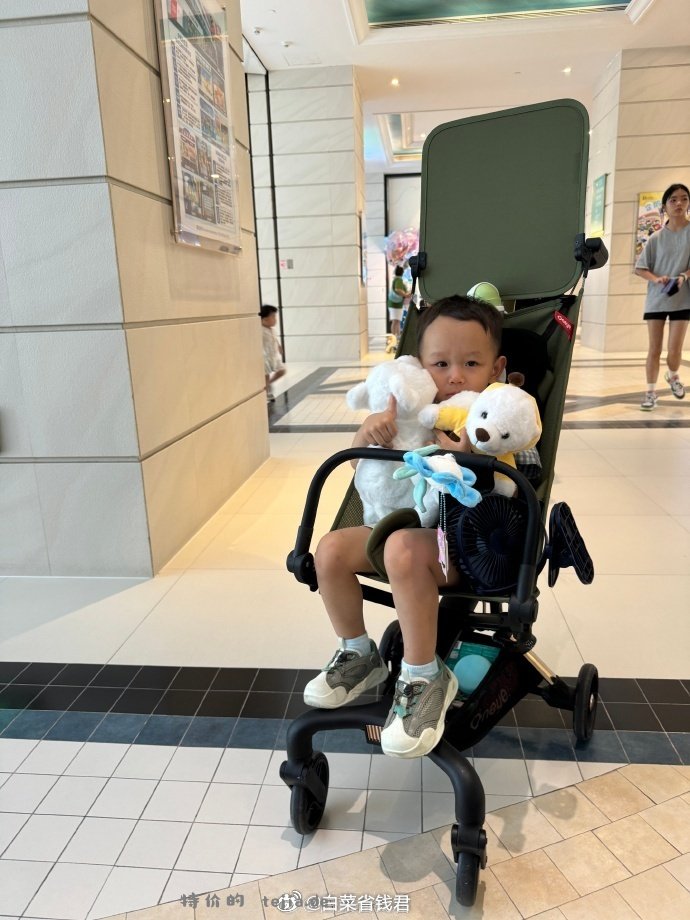 324 丸丫 T2口袋车 多款可选 赠原装靠背 轻便又好推 颜值高 - 特价的