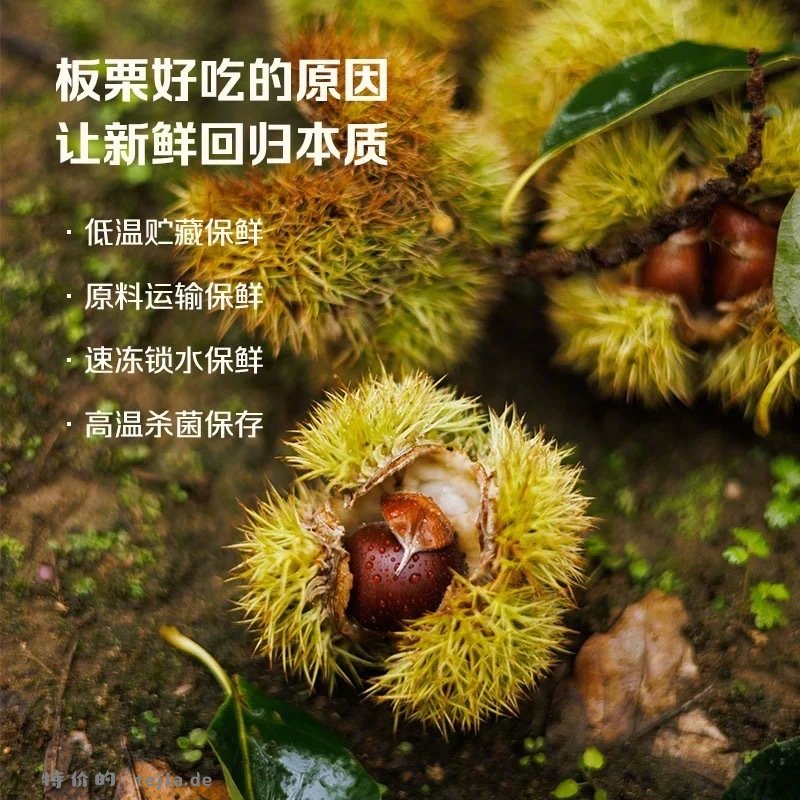 粒上皇板栗仁45g*10袋 28元 - 特价的