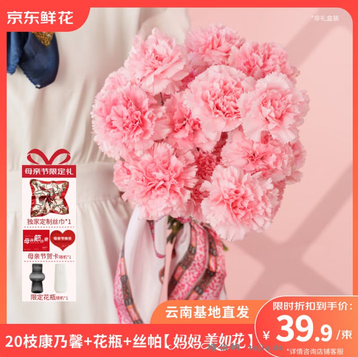 京东鲜花母亲节小确幸鲜花花束含随机色康乃馨20枝丝巾花瓶卡片 39.9元 - 特价的
