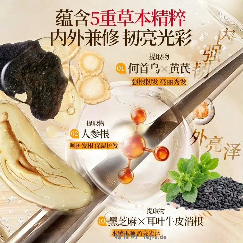 霸王首乌固发洗发液750ml 12元 - 特价的