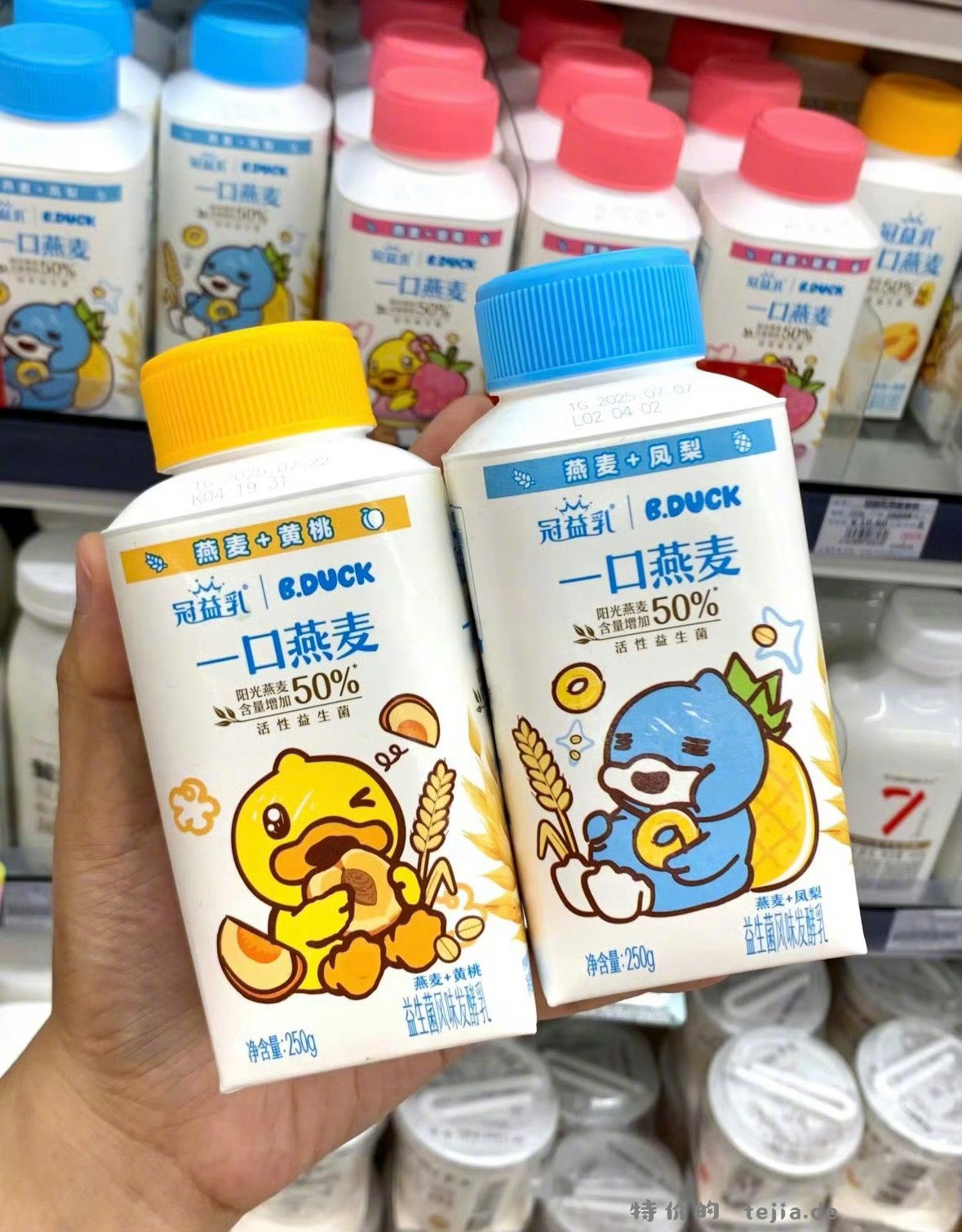 蒙牛燕麦果粒酸奶250g任选8件 33元 - 特价的