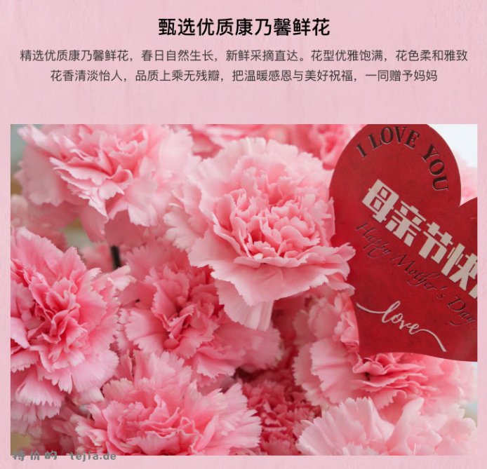 京东鲜花母亲节小确幸鲜花花束含随机色康乃馨20枝丝巾花瓶卡片 39.9元 - 特价的